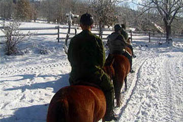 skigebied Vitkovice paardrijden