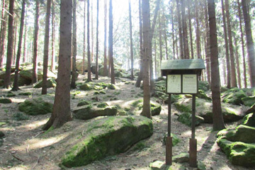 Natuurpad Březina rondom kasteel OrlÍk 