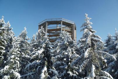 lipno-skigebied-boomtoppen-pad.jpg