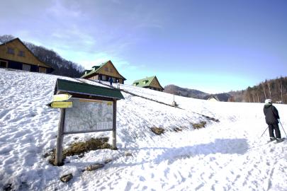 zacler-skigebied-brett-1.jpg